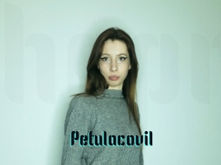 Petulacovil