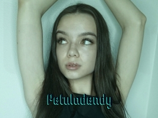 Petuladendy