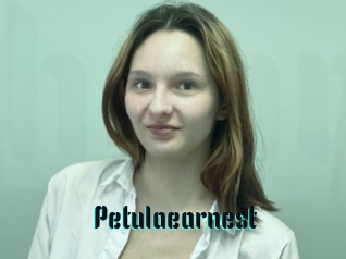 Petulaearnest