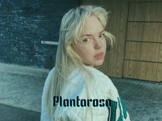 Plantarosa
