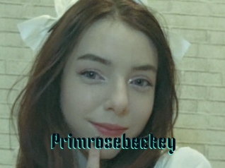 Primrosebeckey