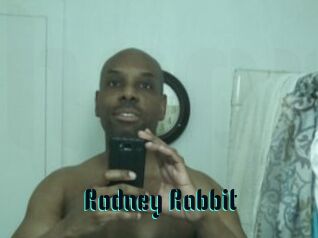 Rodney_Rabbit
