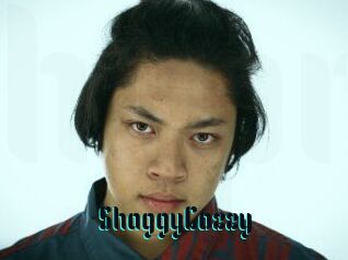 ShaggyCozzy