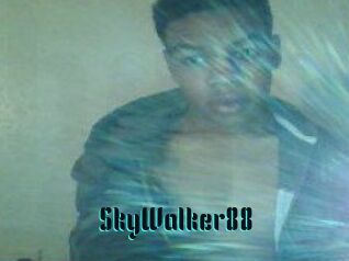 SkyWalker88