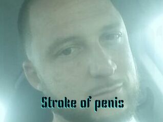 Stroke_of_penis