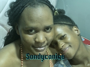 Sandycanice