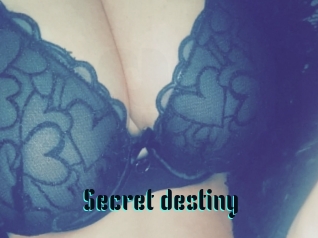 Secret_destiny