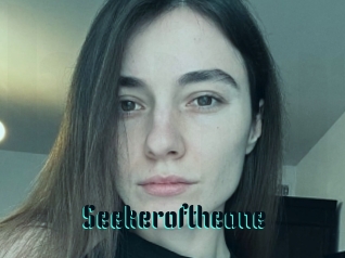 Seekeroftheone