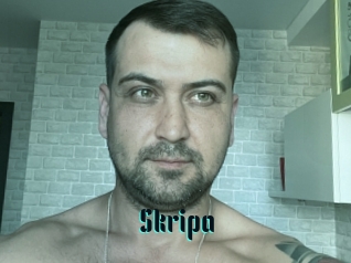 Skripa