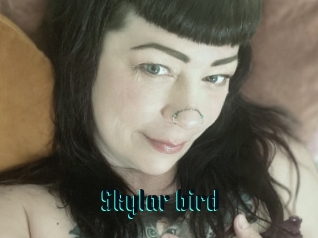 Skylar_bird