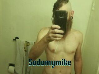 Sodomymike