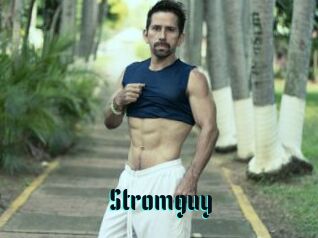 Stromguy