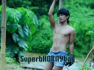 SuperbHORNYboy