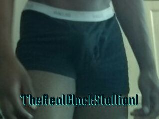 TheRealBlackStallion1