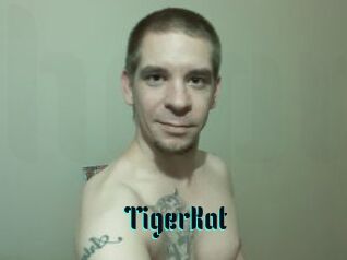 TigerKat