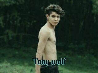 Tony_wolf