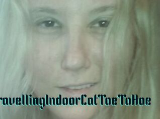 TravellingIndoorCatToeToHoe