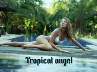 Tropical_angel