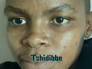 Tshidibbe