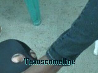 Texascameltoe