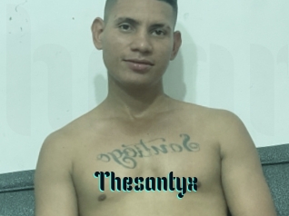 Thesantyx