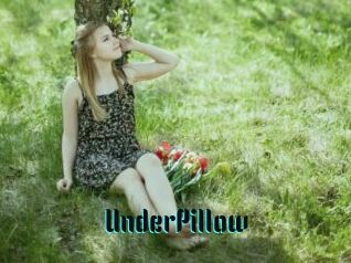 UnderPillow