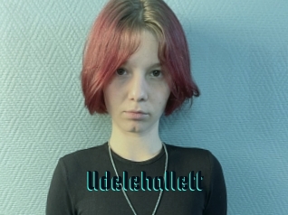 Udelehallett