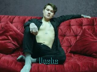 Vashs