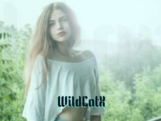 Wild_CatX