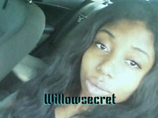 willow_secret Hentai Pride