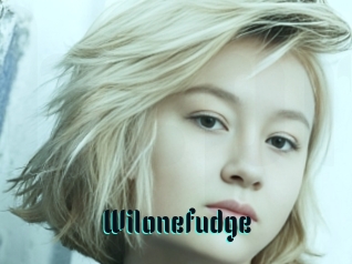 Wilonefudge