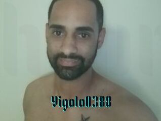 Yigolo0388