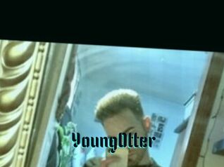 YoungOtter