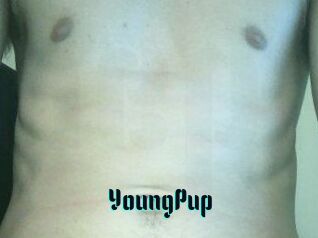 YoungPup