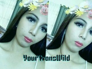 YourTransWild