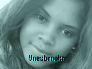 Ynesbrooks