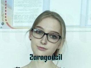 Zaragodsil